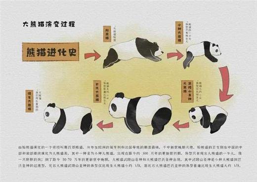 听说四川过年发熊猫？手慢无！