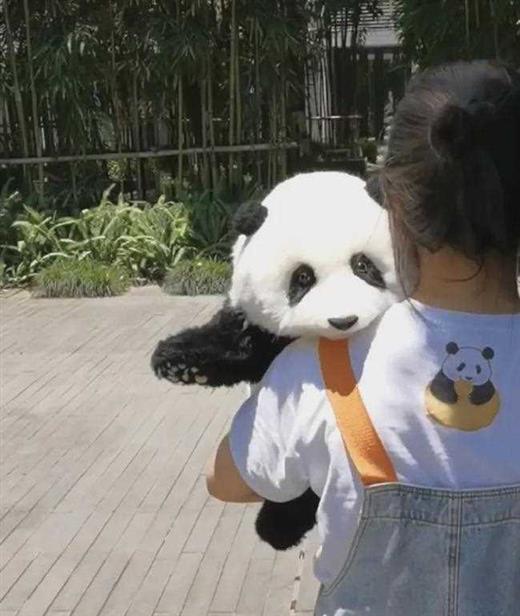 听说四川过年发熊猫？手慢无！