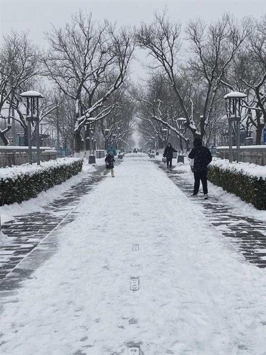 雪中的北京，是我爱的那个北京｜地球知识局