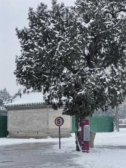 雪中的北京，是我爱的那个北京｜地球知识局