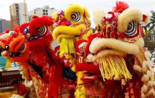 今日元宵丨万户千家今夜好，静候春暖待花开