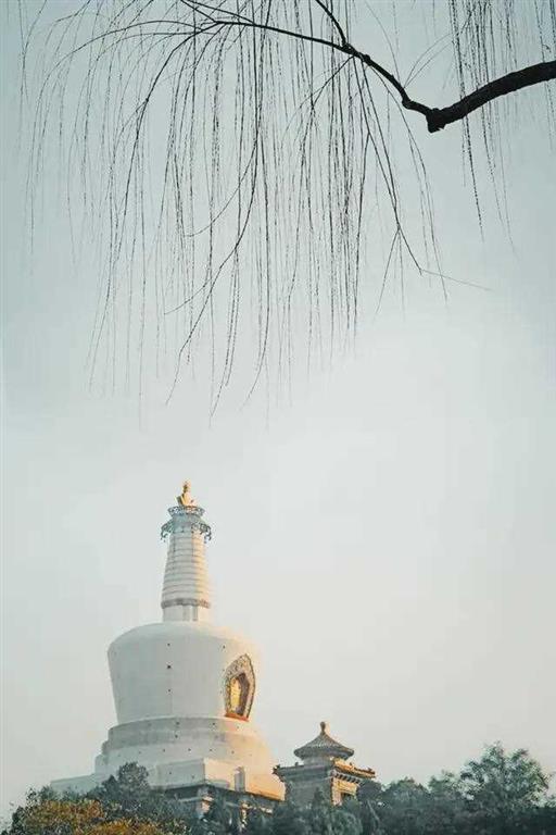 马可·波罗真的来过中国吗？