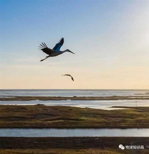 渤海，又浅又小。