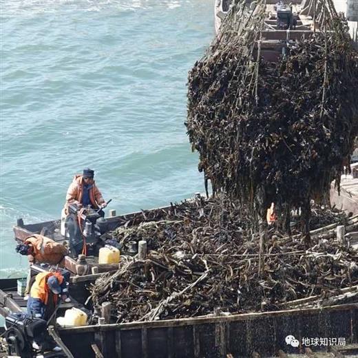 渤海，又浅又小。