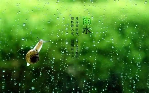 诗词丨雨水无声润万物，人间安暖又逢春