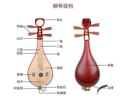 《弹起我心爱的土琵琶》中的土琵琶究竟是什么？