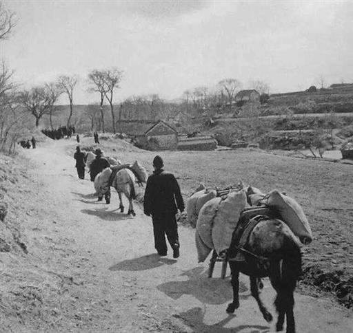 1951年，我国援助邻国66万吨粮食，邻国却出兵占据我国9万领土