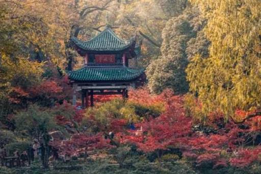 一文读懂，长江中游
