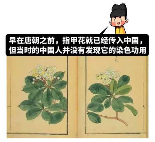 身体发肤受之父母，古代剪指甲算不孝吗？