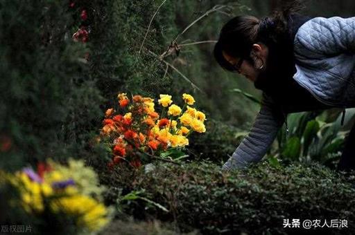 清明节为什么是阳历,每年还不一样（清明节阳历是固定的吗）