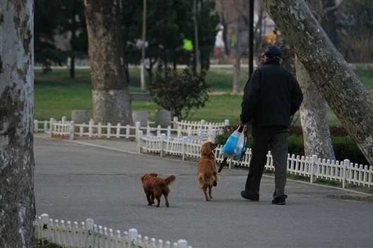 凌晨三点，10万老人犯了“网瘾”