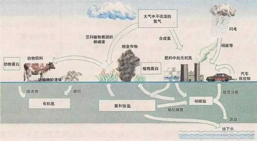 一战德国如何“从空气中制造炸药和粮食”，消除饥饿也让无数人亡