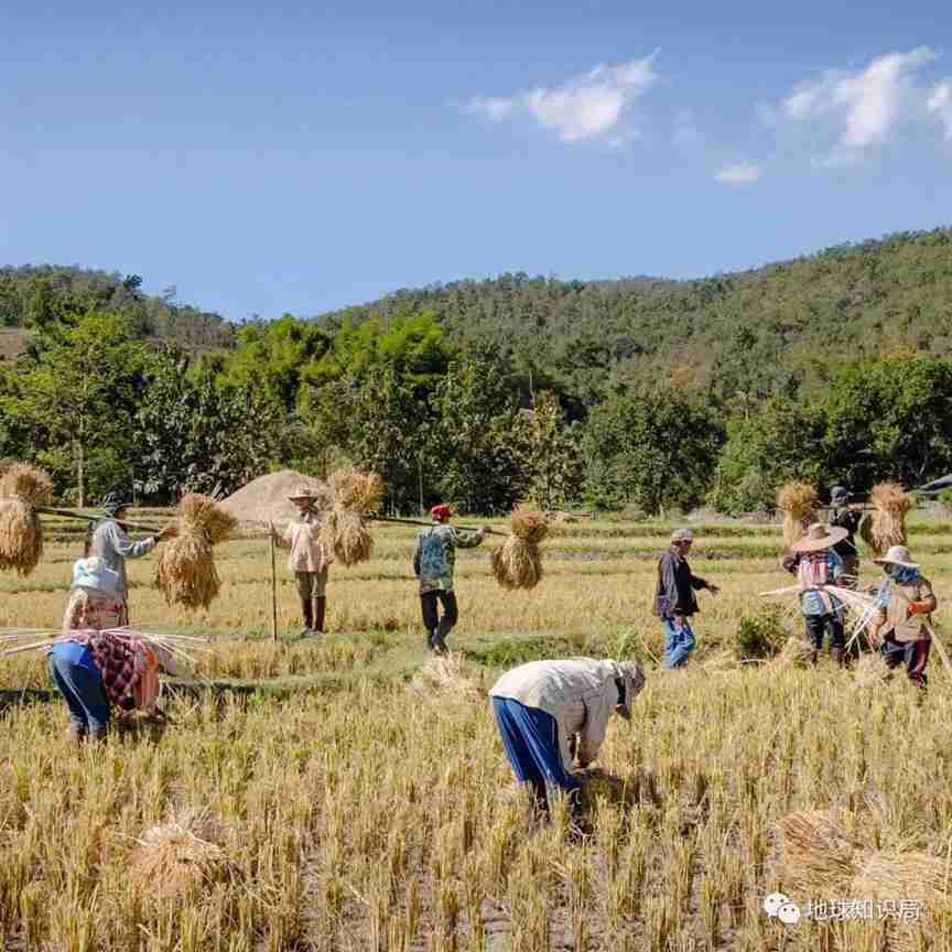 泰国非法性交易为何屡禁不止？｜地球知识局