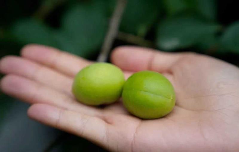 中国三千年极致风味，今天品尝正是时候