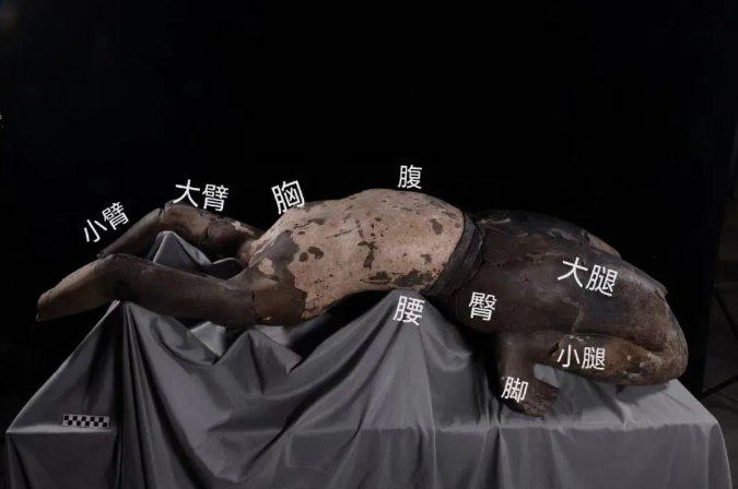 托尼老师坐不住了！三星堆出土中分发型人物……网友：别挖了，历史书厚到不行了