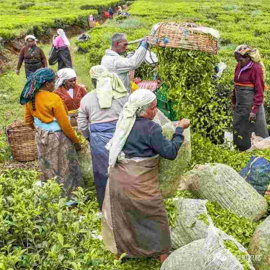 一场难以置信的国家灾难 | 地球知识局