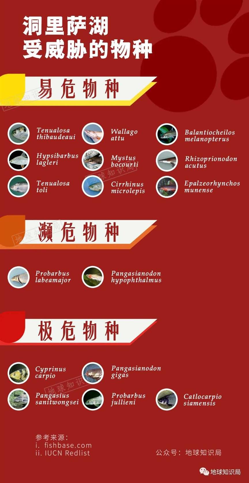这里，每年都要被淹 | 地球知识局