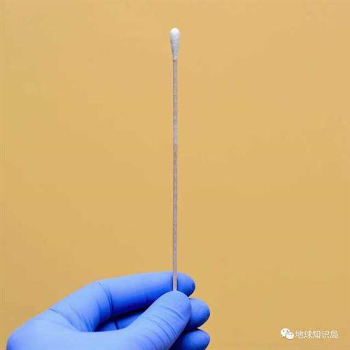 武汉突然出现的霍乱，是一种什么病？| 地球知识局