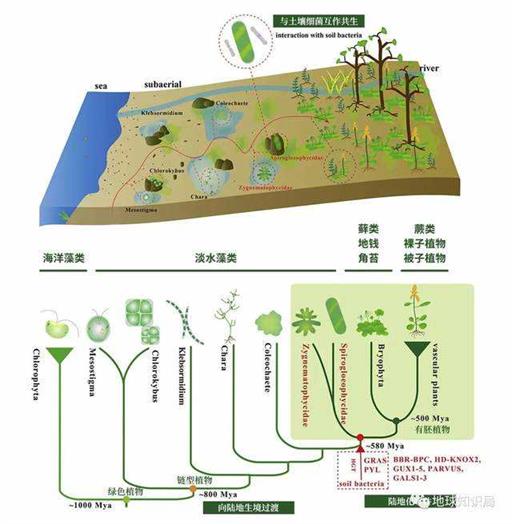 土壤正在退化，东北尤其严重 | 地球知识局