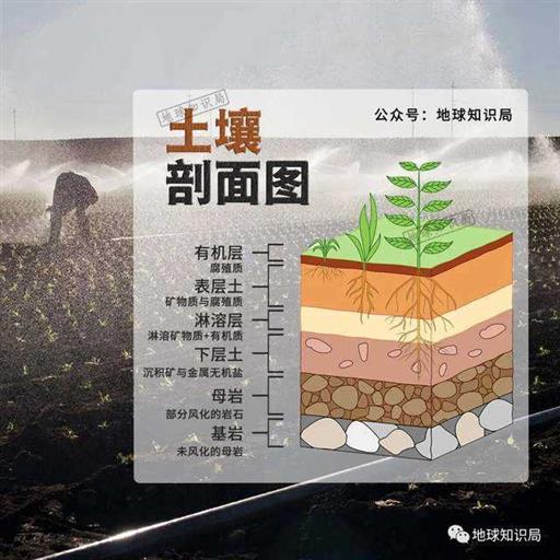 土壤正在退化，东北尤其严重 | 地球知识局