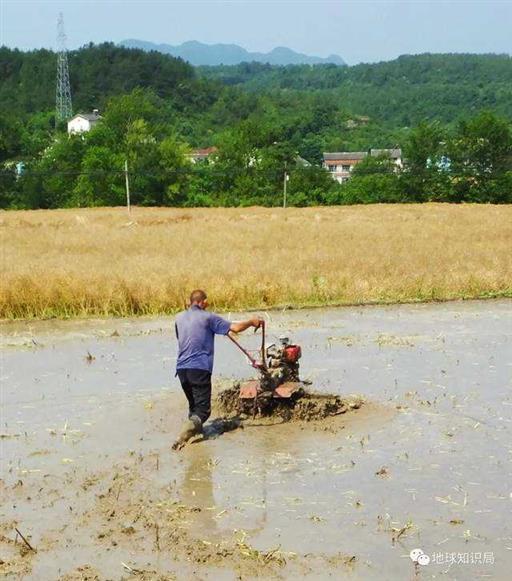 土壤正在退化，东北尤其严重 | 地球知识局