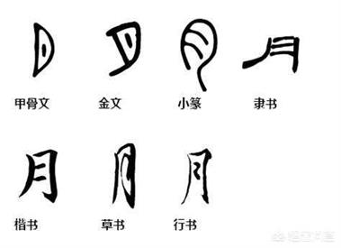 既然甲骨文是商朝才出现的，那为什么有人说夏朝历史会知道？夏朝有甲骨文吗？