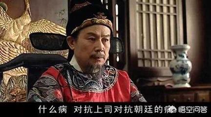 大明王朝为什么是神剧（大明王朝剧评高分）