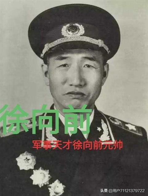 历史上有名的大将军有哪些（中国历史上最有名的将军）