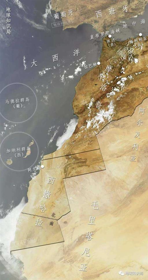 非洲军备竞赛，太卷了！| 地球知识局