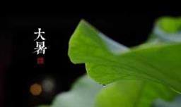 与大暑节气相关的民间民俗活动 大暑节气的传统习俗有哪些