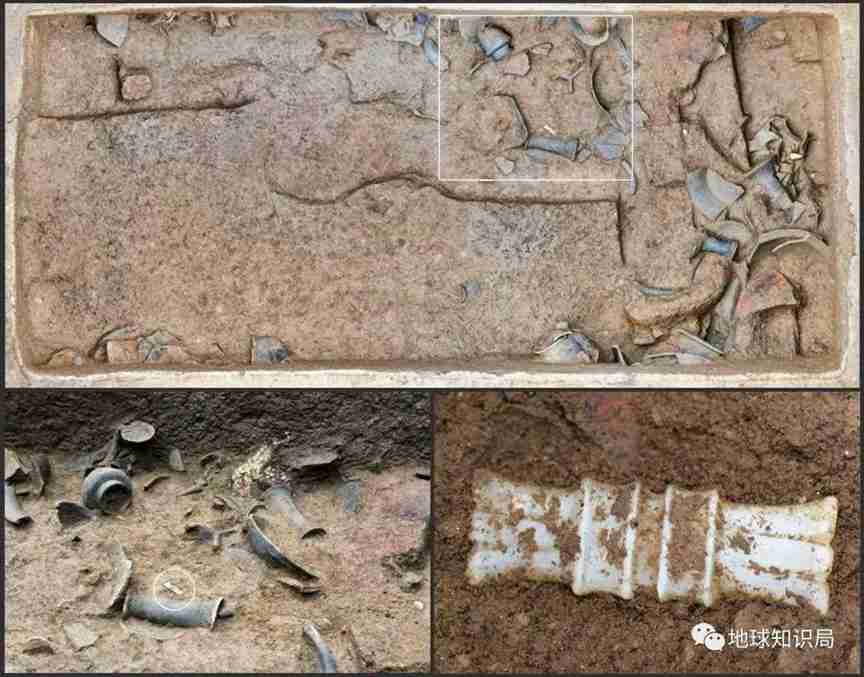 河南洛阳，有一个重大发现 | 地球知识局