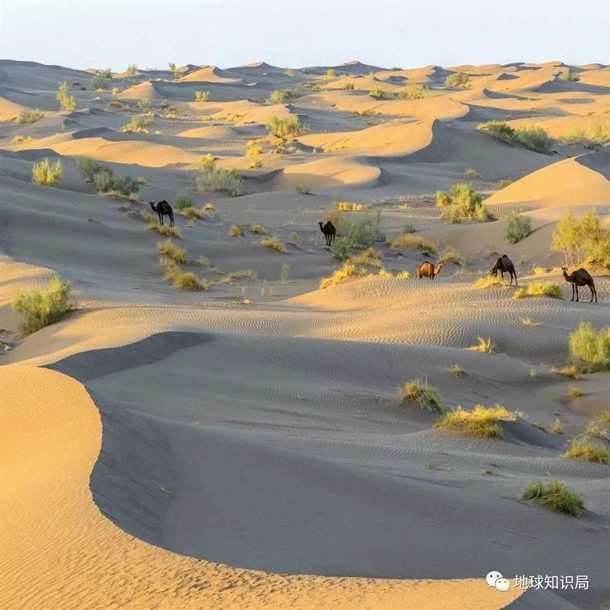 伊朗，条件真的太苦了 | 地区知识局