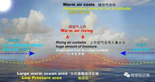 别想了，台风太弱了，干旱可能持续到明年 | 地球知识局