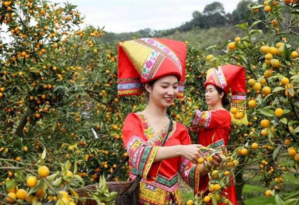 号称水果王国，广西的水果总产量，为何高居全国第一？