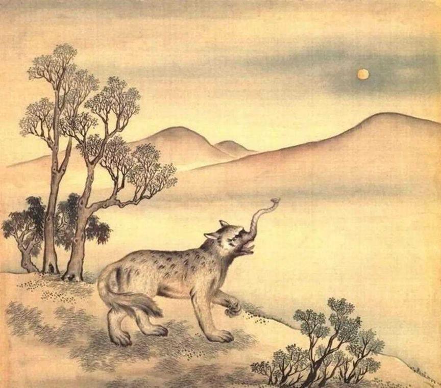 被遗忘的血泪史：猎杀大熊猫，细思恐极