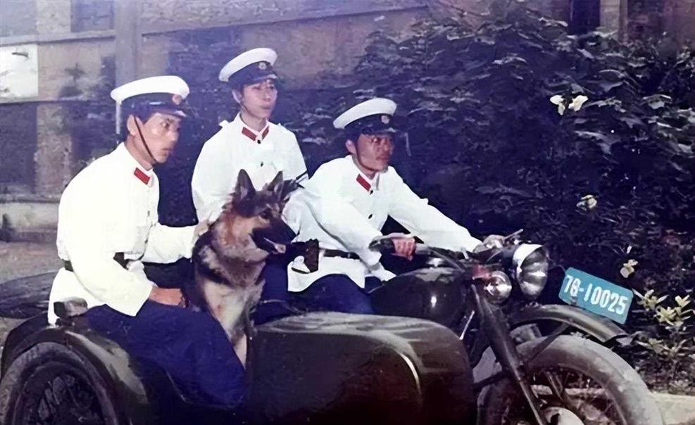 中国进行第一次严打，1983年，如何严厉打击各种流氓犯？