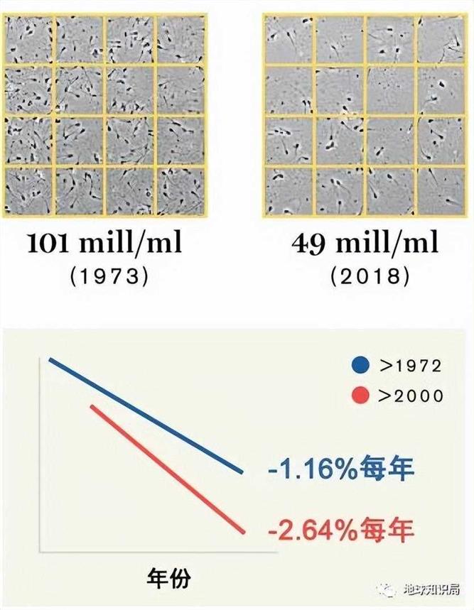 男人精子数量，断崖式下降！| 地球知识局