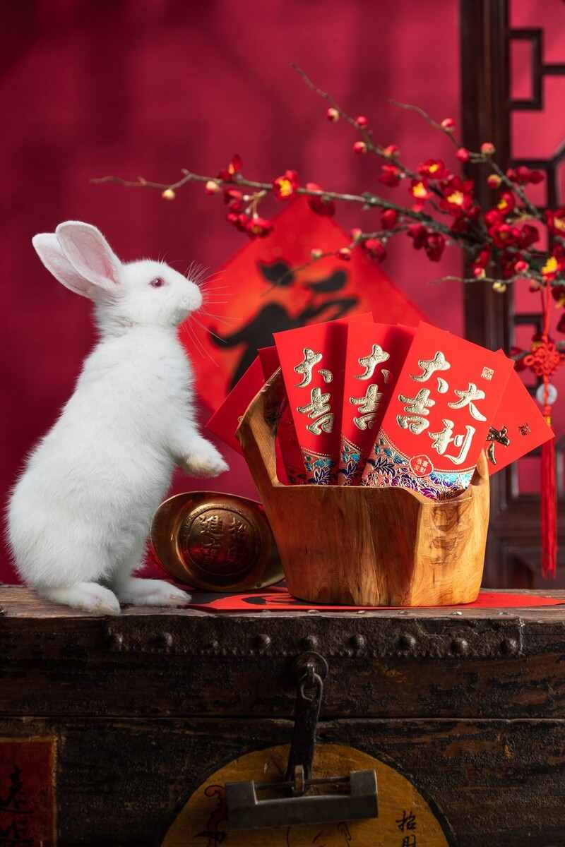 兔年赏兔子，古人画兔子的身临其境之感
