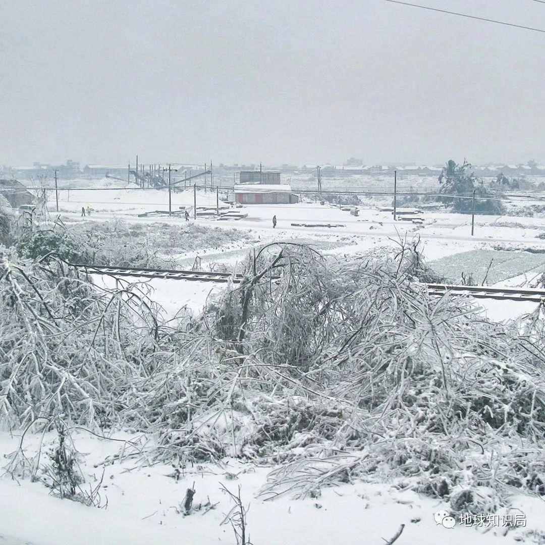 大洪水“空袭”美国的原因，找到了！| 地球知识局