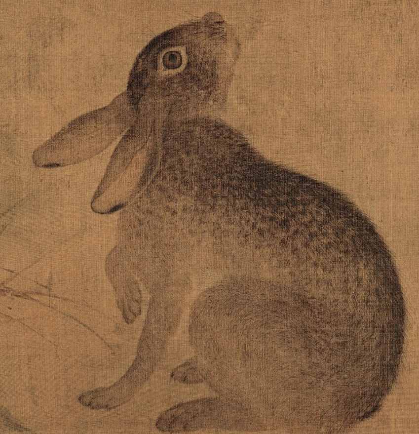 兔年赏兔子，古人画兔子的身临其境之感