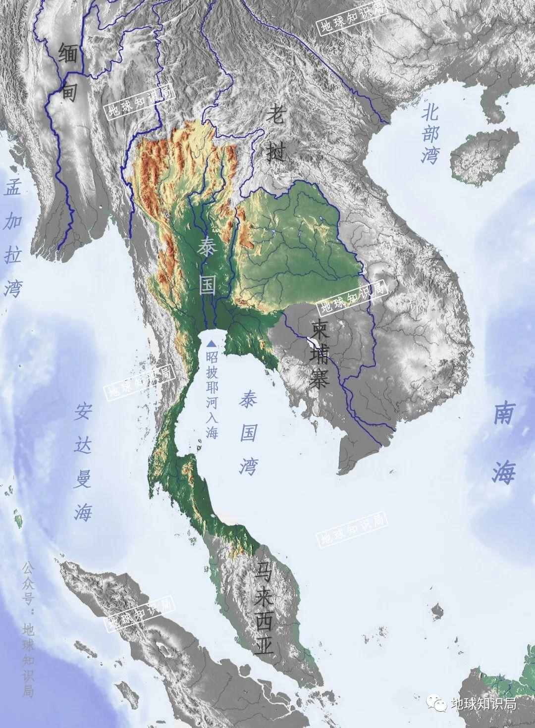 泰国米，从小吃到大 | 地球知识局