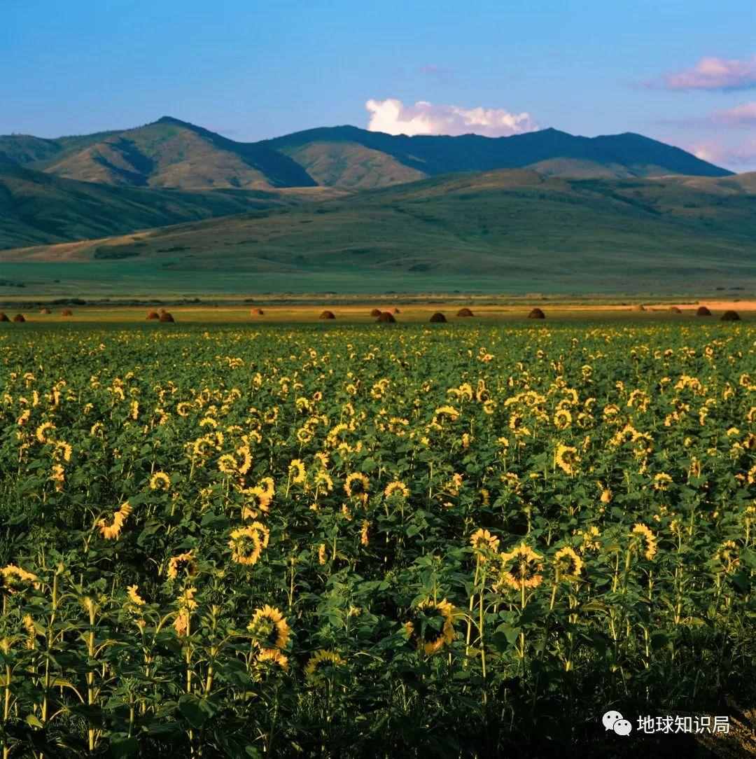 哈萨克斯坦，一个要命的问题 | 地球知识局