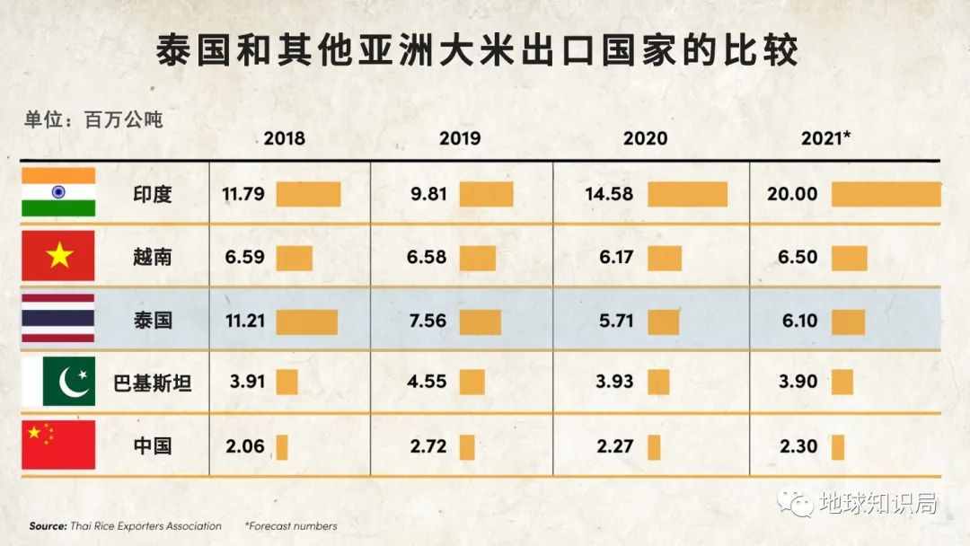 泰国米，从小吃到大 | 地球知识局