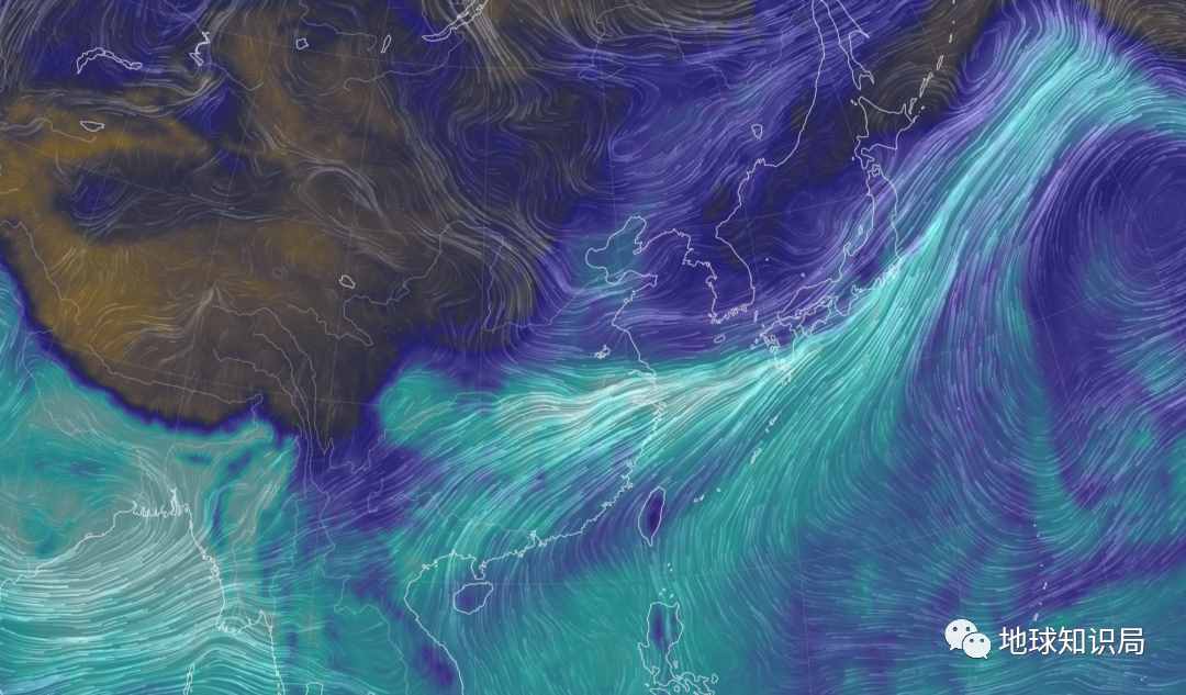 大洪水“空袭”美国的原因，找到了！| 地球知识局