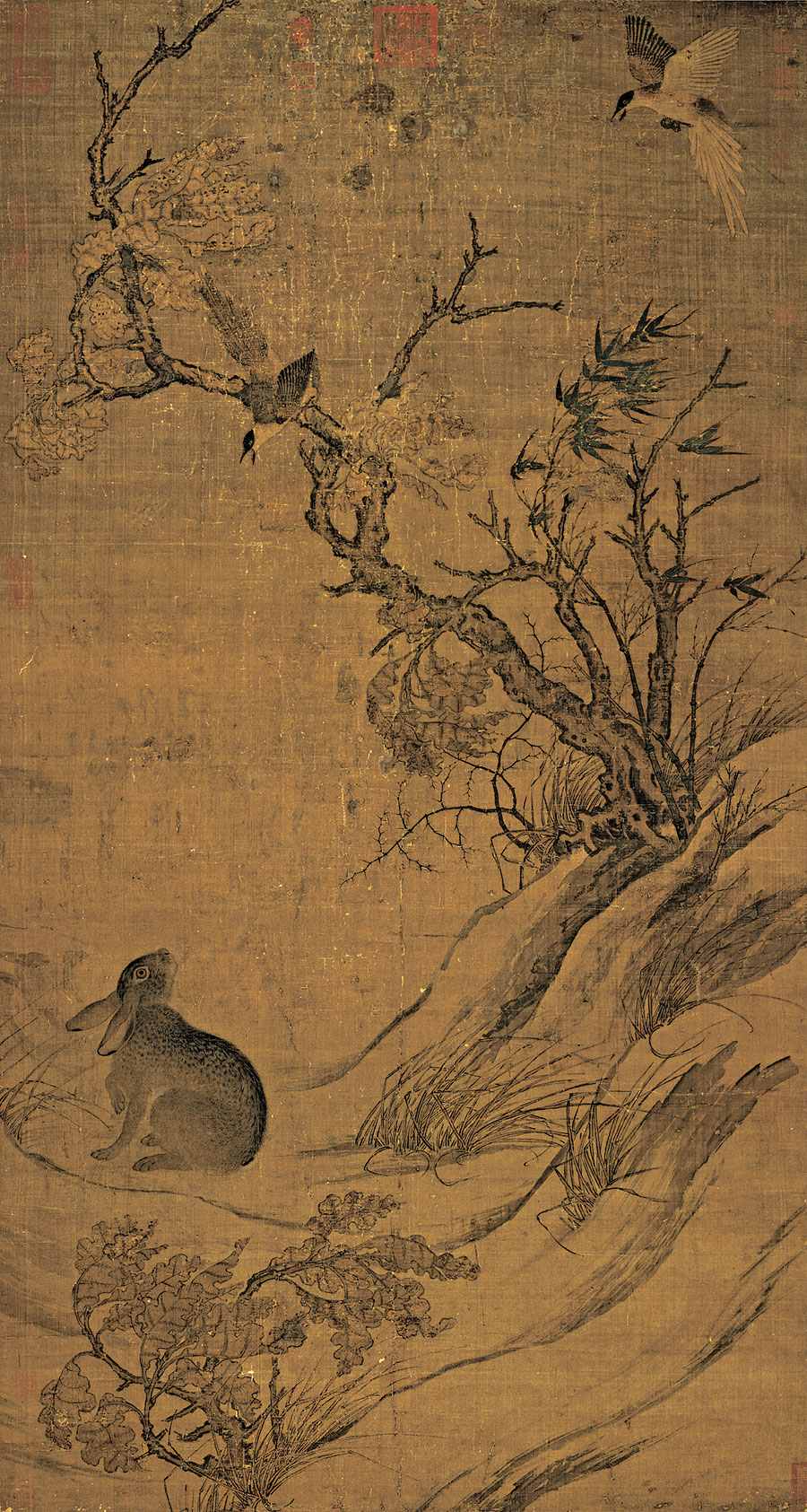 兔年赏兔子，古人画兔子的身临其境之感