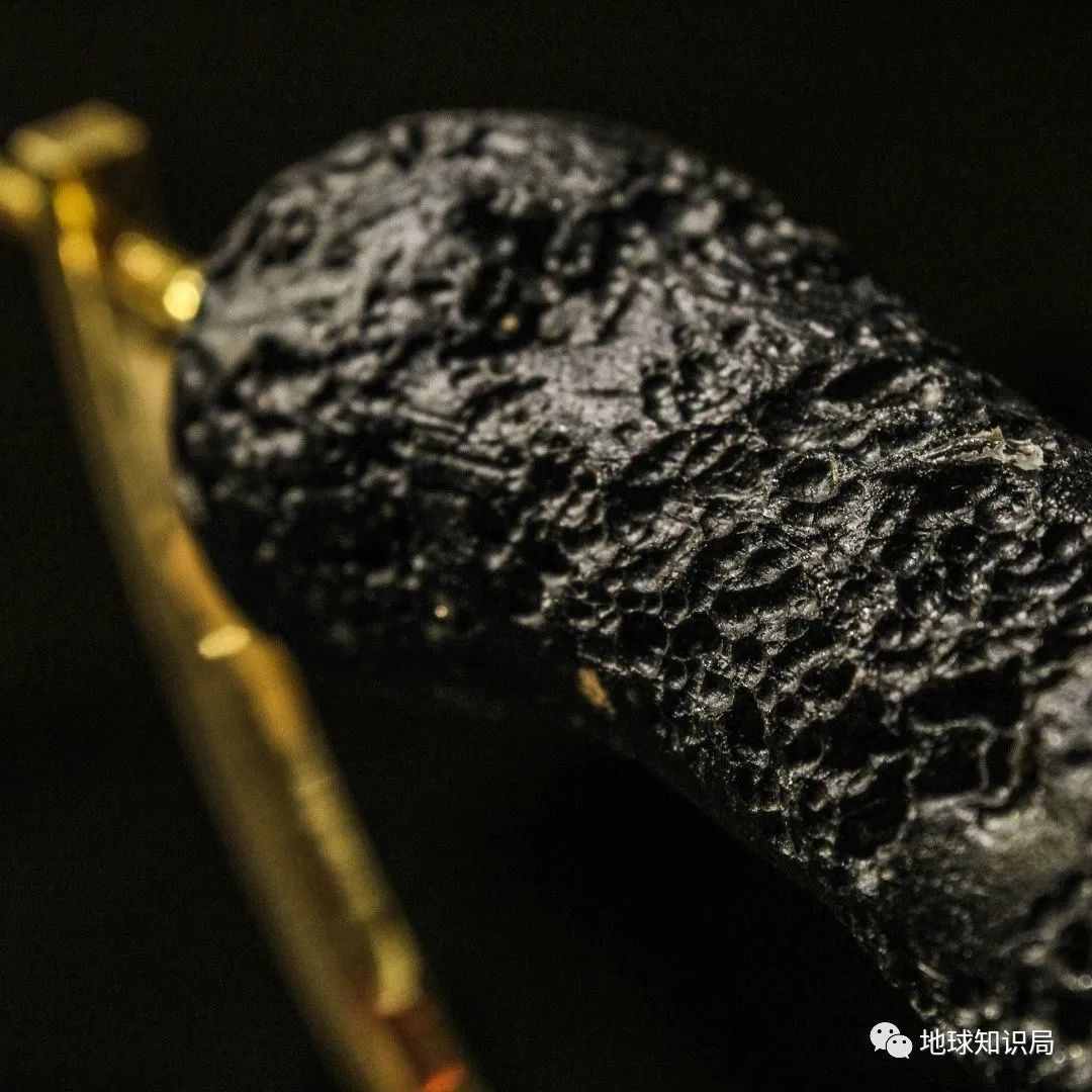 大冲击！你我都是幸存者的后代 | 地球知识局