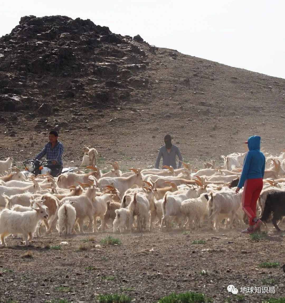 黄了，蒙古国的问题有多严重？| 地球知识局