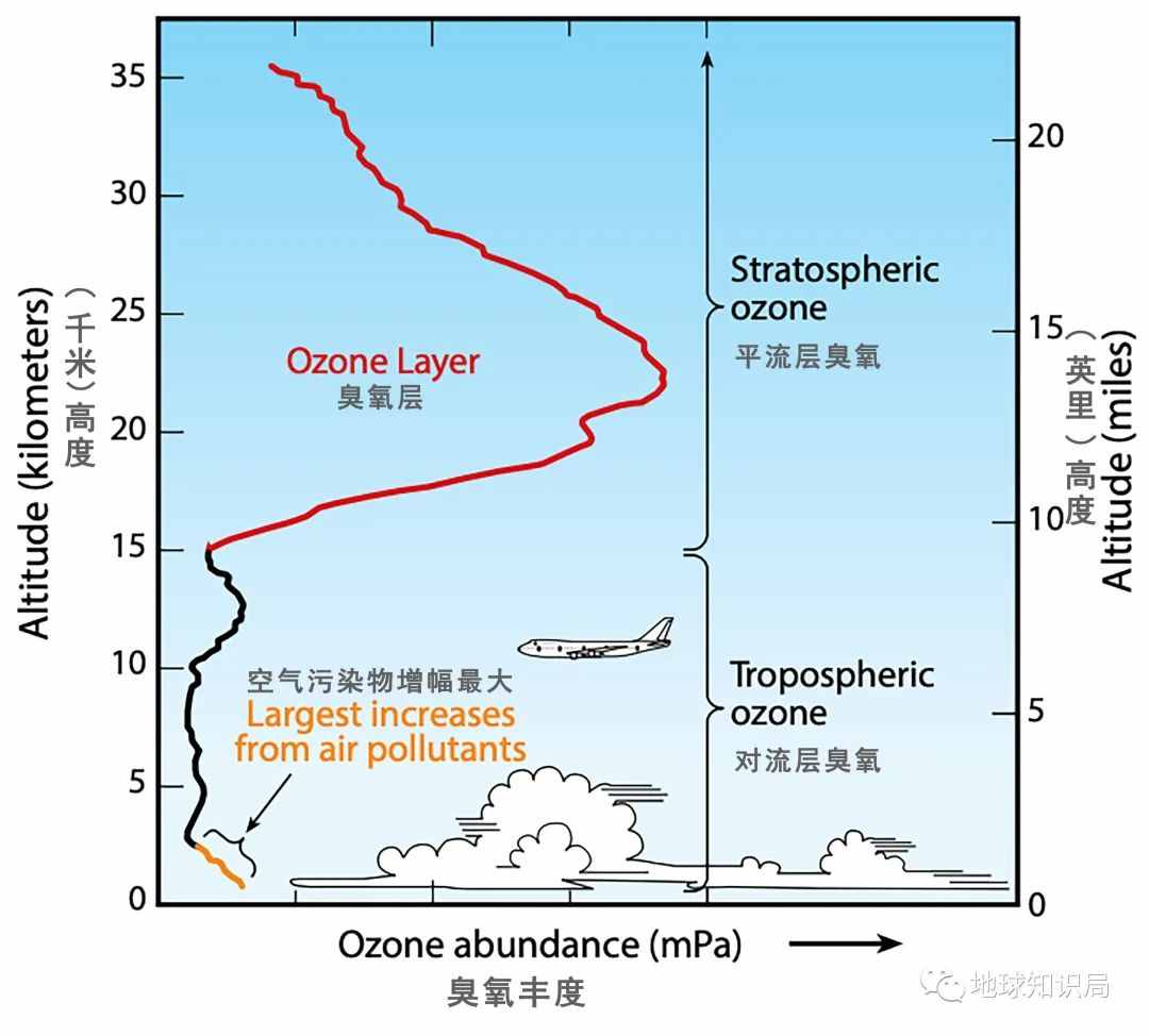 逆转了，臭氧空洞正在变小！| 地球知识局