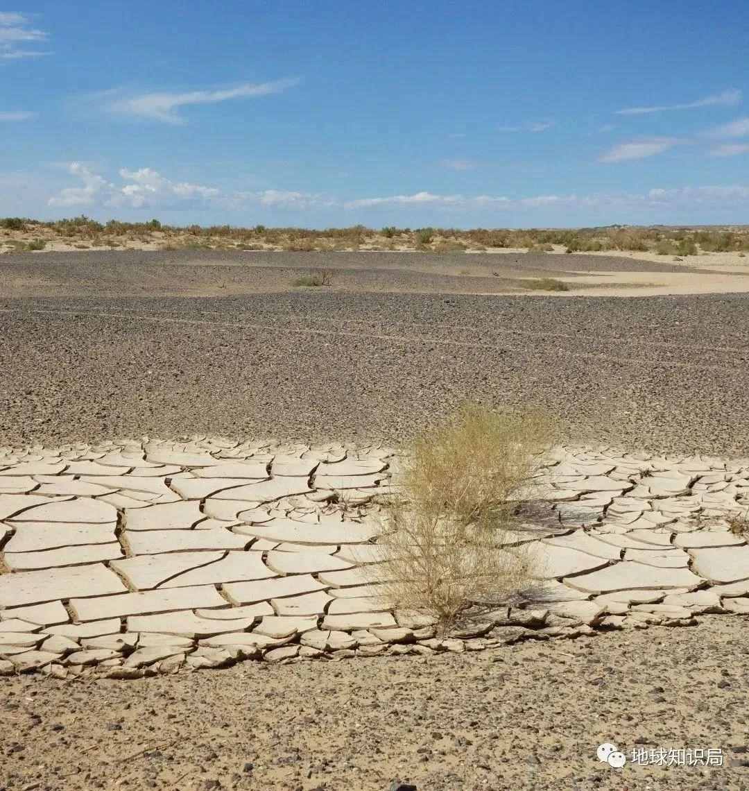 黄了，蒙古国的问题有多严重？| 地球知识局