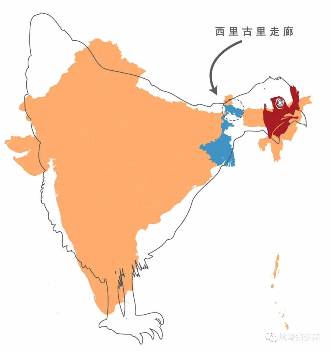 切断这条走廊，印度会分裂么？| 地球知识局